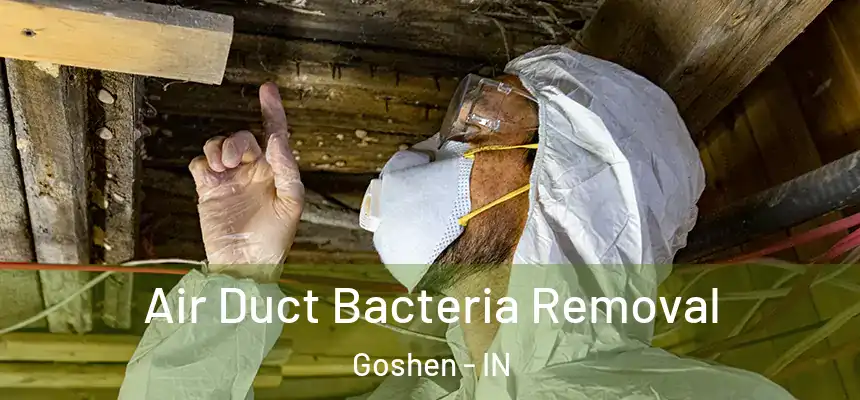  Air Duct Bacteria Removal Goshen - IN