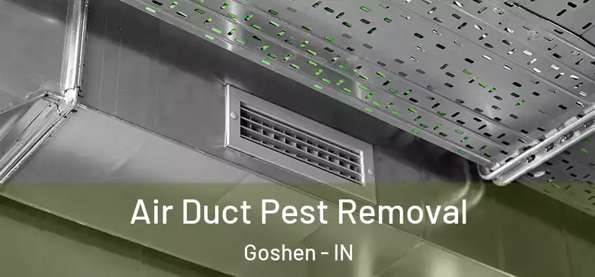  Air Duct Pest Removal Goshen - IN