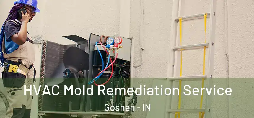  HVAC Mold Remediation Service Goshen - IN