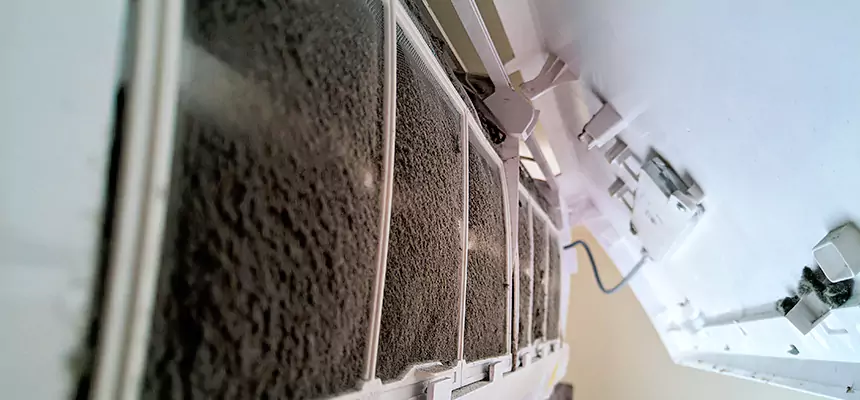 Preventive Air Duct Bacteria Removal in Goshen