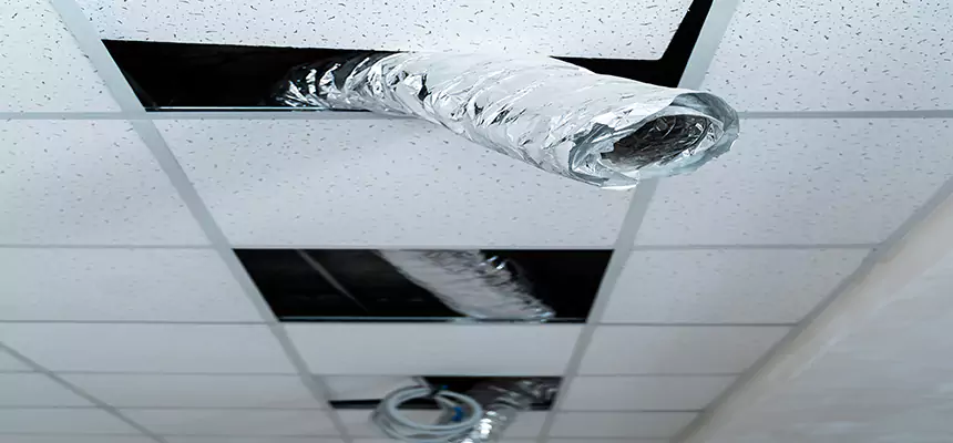 Our Air Duct Pet Hair Removal Services in Goshen, IN