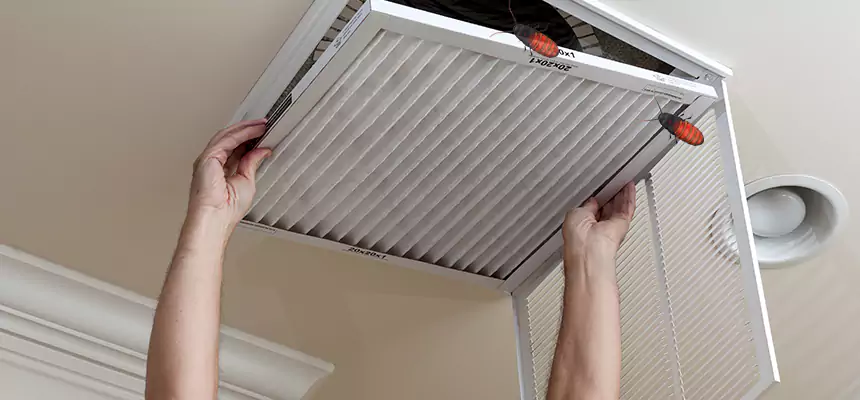 Our Insect Removal from Air Ducts Services in Goshen, IN