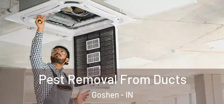 Pest Removal From Ducts Goshen - IN