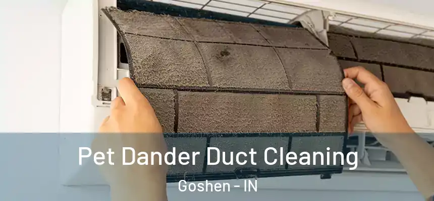 Pet Dander Duct Cleaning Goshen - IN