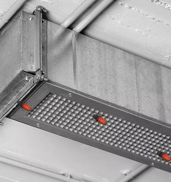 About Air Duct Cockroach Removal in Goshen, IN