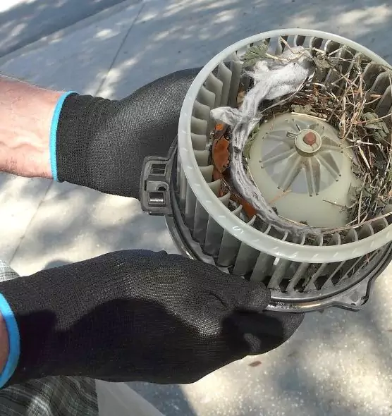 About Air Duct Mice Removal in Goshen, IN