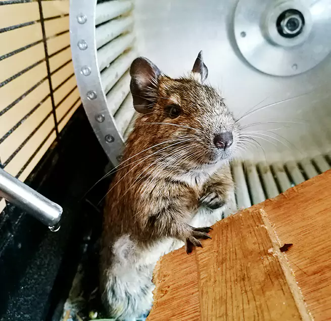 Why Homeowners & Businesses Trust Us Goshen, IN